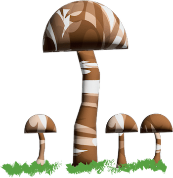 funky mushrooms. 